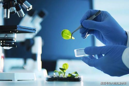 留學(xué)馬來西亞 生物技術(shù)與生物技術(shù)開發(fā)，如何區(qū)分這對“雙胞胎”專業(yè)？